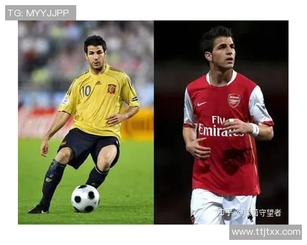 足球明星职业生涯转型与发展现状分析及未来趋势探讨